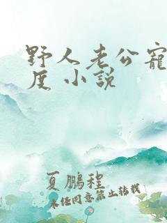 野人老公宠妻无度 小说