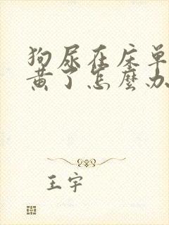 狗尿在床单上发黄了怎么办