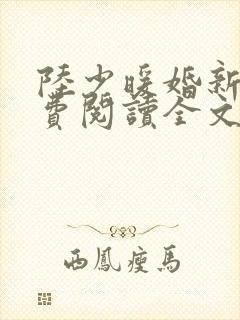 陆少暖婚新妻免费阅读全文无弹窗