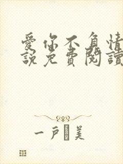 爱你不负情深小说免费阅读