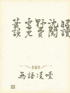 萧云野沈昭宁小说免费阅读最新章节