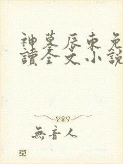 神墓辰东免费阅读全文小说