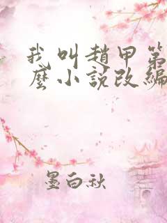 我叫赵甲第是什么小说改编的