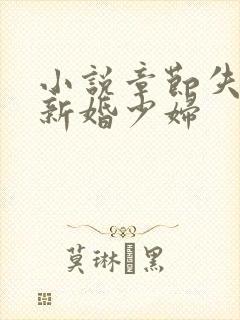 小说章节失身的新婚少妇