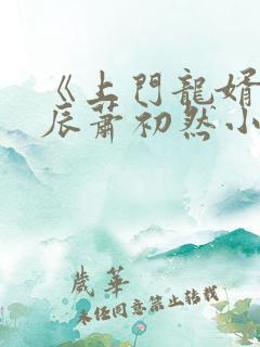 《上门龙婿》叶辰萧初然小说