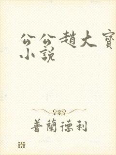 公公赵大宝苏媚小说