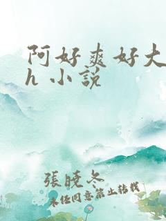 阿好爽好大好硬h 小说