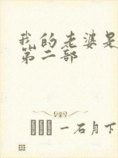 我的老婆是狐仙第二部