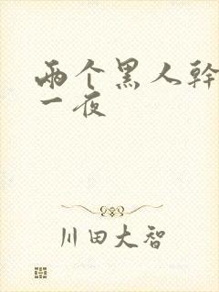 两个黑人干了我一夜