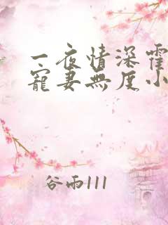 一夜情深霍先生宠妻无度小说免费阅读