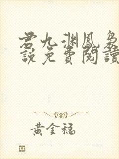 君九渊凤袅袅小说免费阅读