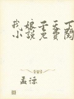 我娘子天下第一小说免费阅读