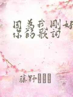 因为我刚好遇见你的歌词