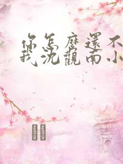 你怎么还不来哄我沈观南小说免费阅读