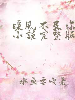 暖风不及你情深小说完整版txt