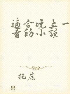 适合晚上一个人看的小说