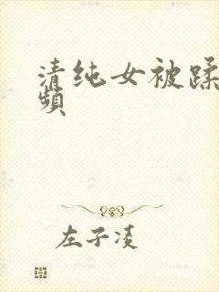 清纯女被蹂躏视频