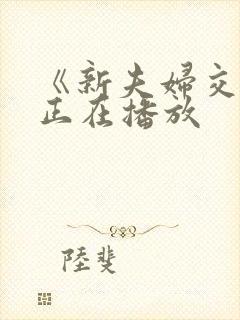 《新夫妇交换》正在播放