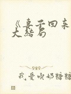 《妻子回来了》大结局