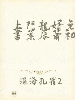 上门龙婿免费听书叶辰萧初然