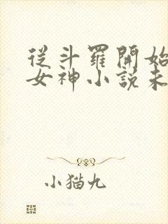 从斗罗开始俘获女神小说未删版