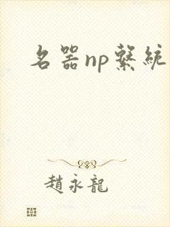 名器np系统