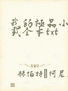 我的极品小姨下载全本txt
