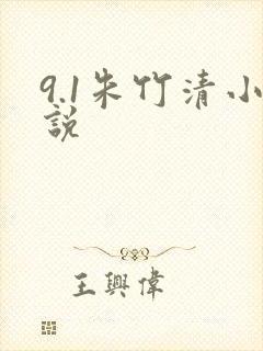 9.1朱竹清小说