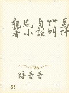 观风月竹马篇原著小说叫什么名字