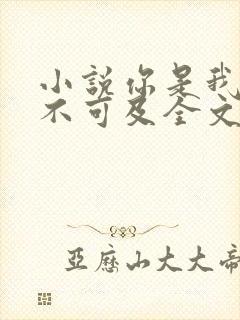 小说你是我的遥不可及全文免费阅读