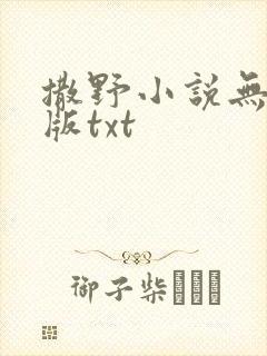 撒野小说无删减版txt