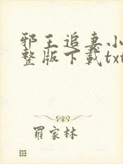 邪王追妻小说完整版下载txt