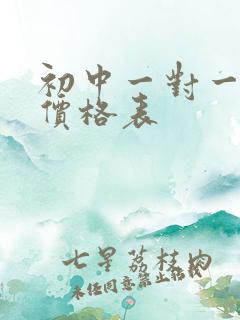 初中一对一补课价格表