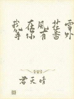 我在风花雪月里等你有番外吗