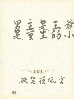 男主是王爷女主是重生的小说