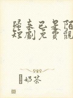 归来已是陌路人短剧免费观看