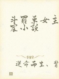 斗罗单女主凌落宸小说