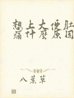 想上大便肚子绞痛什么原因