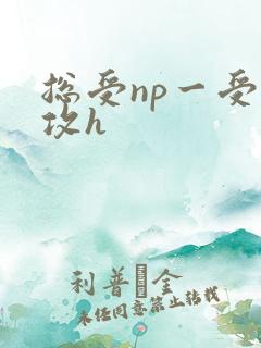 总受np一受多攻h