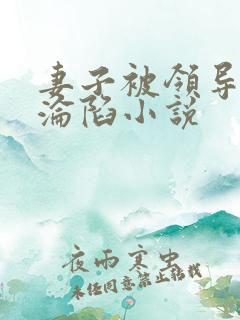 妻子被领导征服沦陷小说