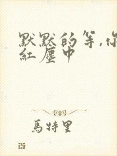 默默的等,你在红尘中