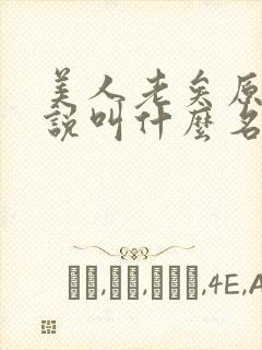 美人老矣原著小说叫什么名字