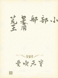 荒是哪部小说的主角