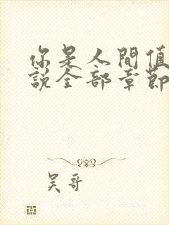 你是人间值得小说全部章节