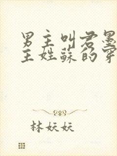 男主叫君墨寒女主姓苏的穿越小说