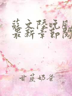 苏文陆晚风小说最新章节阅读