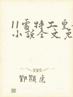 11处特工皇妃小说全文免费阅读无弹窗