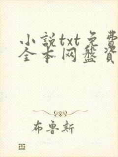 小说txt免费全本网盘资源