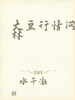 大豆行情网仙踪林