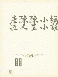 老陈陈小纭的风流人生小说免费阅读